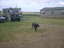 Campsite-Misc-09.JPG (85281 bytes)