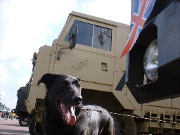 london-brighton-2001-013.JPG (70635 bytes)