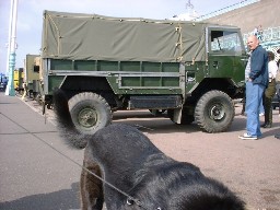 london-brighton-2001-022.JPG (96344 bytes)