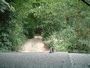 eastnor-2003-082.jpg (155153 bytes)