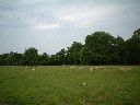 eastnor-2003-087.jpg (105382 bytes)