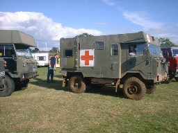 FWD619Y-005-stoneleigh-2001.jpg (94201 bytes)