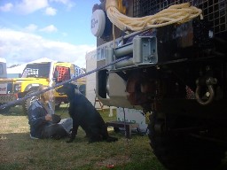 _Best_Show_Shot-stoneleigh-2001.jpg (76898 bytes)