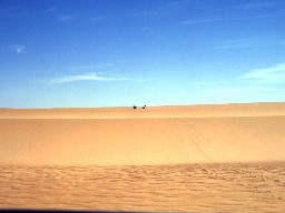 west-east-barry-doughty-009.jpg (98123 bytes)