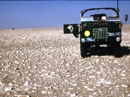 west-east-barry-doughty-013.jpg (200952 bytes)